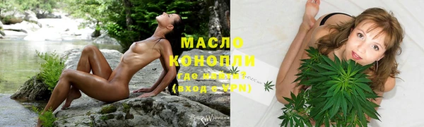 сатива Беломорск