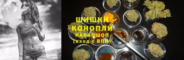 сатива Беломорск