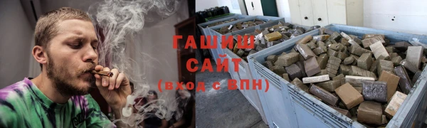 сатива Беломорск