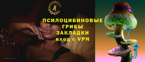 прущий лед Богородск