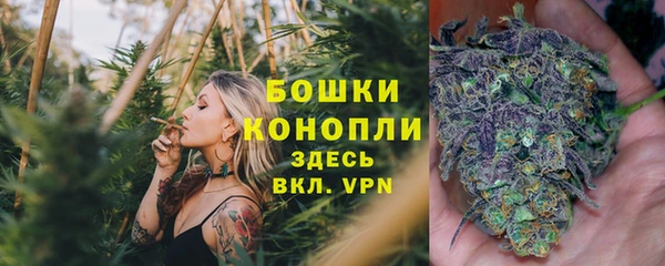 соль ск Богородицк