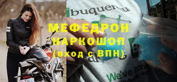 сатива Беломорск