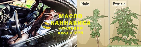 соль ск Богородицк