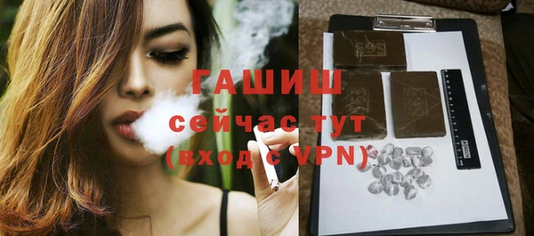 сатива Беломорск