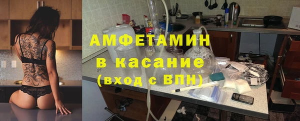 сатива Беломорск